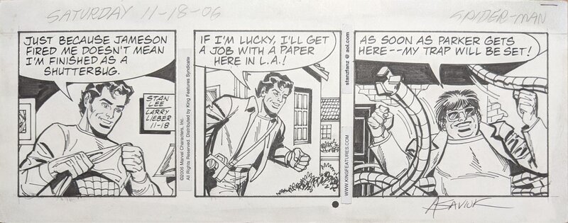 Larry Lieber, Stan Lee, Alex Saviuk, The Amazing Spider-Man: Newspaper Comic Strip - 18/11/2006 - Comic Strip