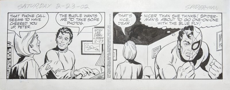 Larry Lieber, Stan Lee, The Amazing Spider-Man: Newspaper Comic Strip - 23/02/2002 - Comic Strip