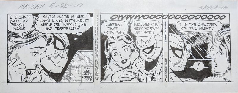Larry Lieber, Stan Lee, The Amazing Spider-Man: Newspaper Comic Strip - 26/05/2000 - Comic Strip