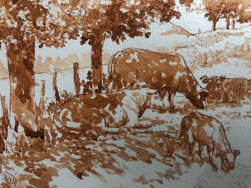 Sunny pastures by Aloys Oosterwijk - Original Illustration