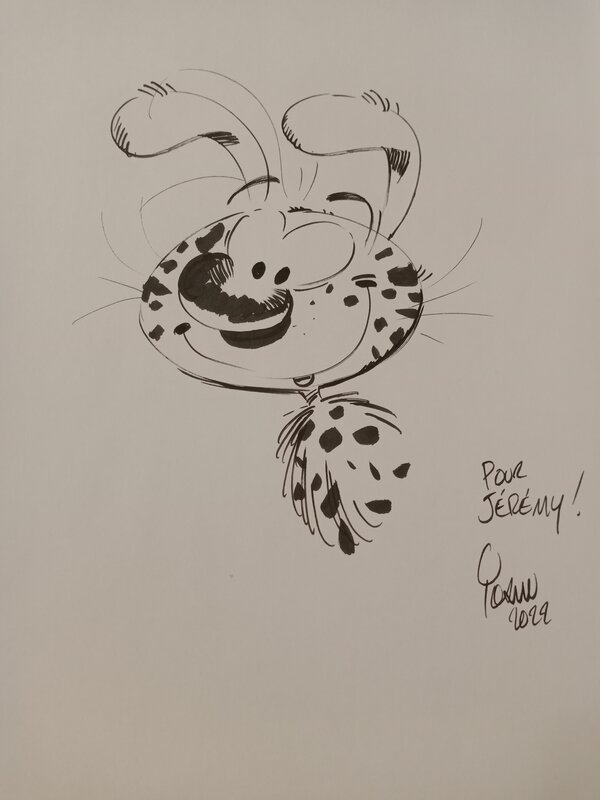 Le Marsupilami by Yoann - Sketch