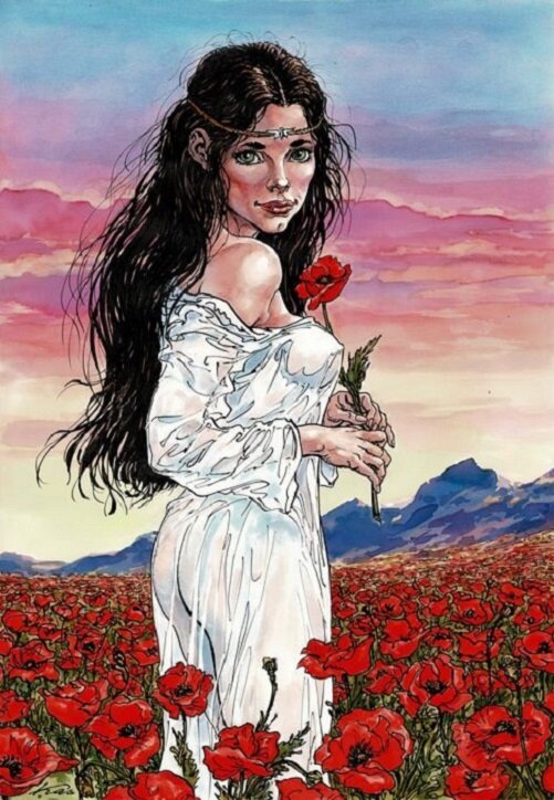 En vente - Kas, Feya au milieu des coquelicots - Illustration originale
