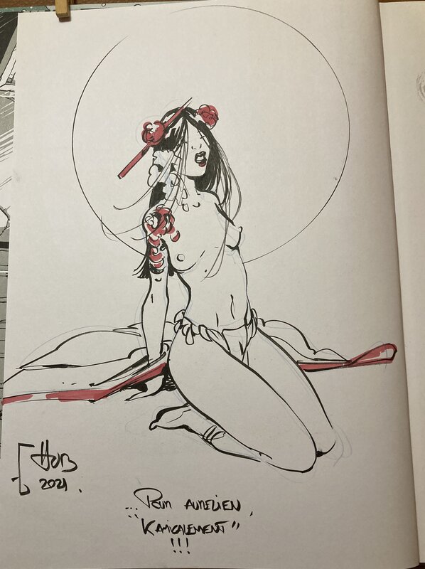 Hub, Okko T10 Petite Carpe - Sketch