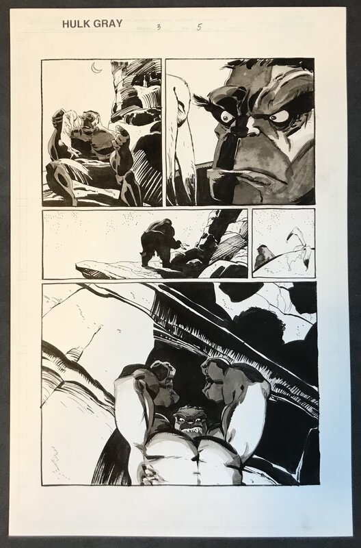 Tim Sale - Hulk Gray - issue 3, page 5 - Planche originale