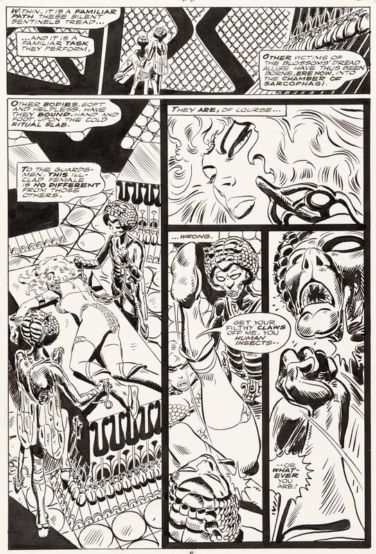 Frank Thorne, Red Sonja - Issue #6 p6 - Comic Strip