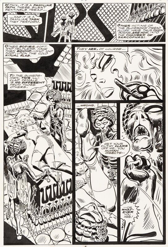 Frank Thorne, Red Sonja - Issue #6 p6 (planche 4) - Comic Strip