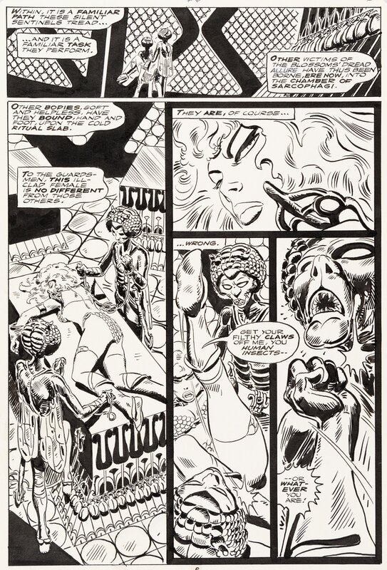 Frank Thorne, Red Sonja - Issue #6 p6 - Planche originale