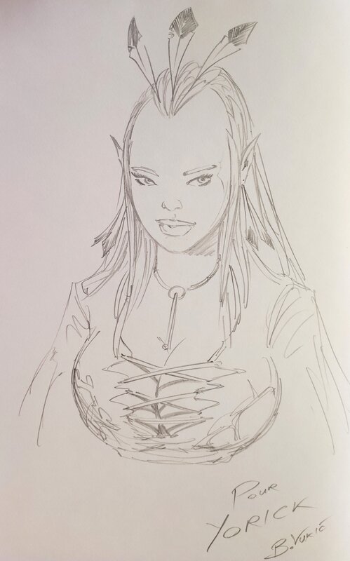 Bojan Vukic, Les maîtres inquisiteurs T.14 Shenkaèl - Sketch