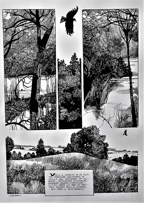For sale - Planche ORIGINALE SERGIO TOPPI - Comic Strip
