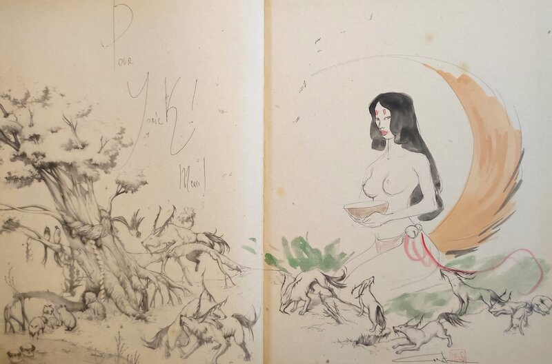 Carita Lupattelli, Izunas T.1 Kamigakushi - Sketch