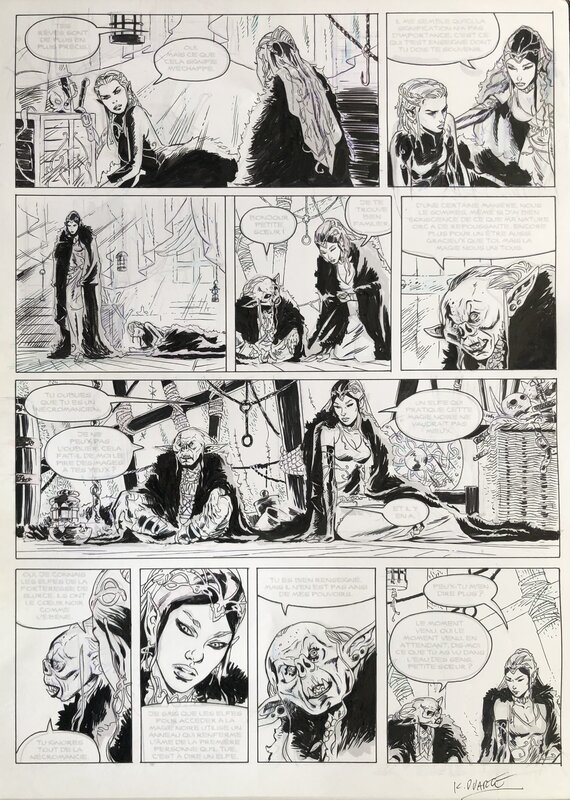 Kyko Duarte, Jean-Luc Istin, La Mission des Elfes Bleus - T6 Pl 19 - Comic Strip