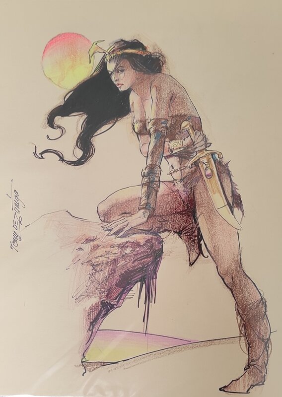 She-Warrior by Tony DeZuniga - Original Illustration
