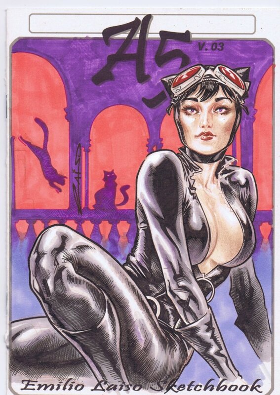 Catwoman par Laiso Blank Cover - Couverture originale