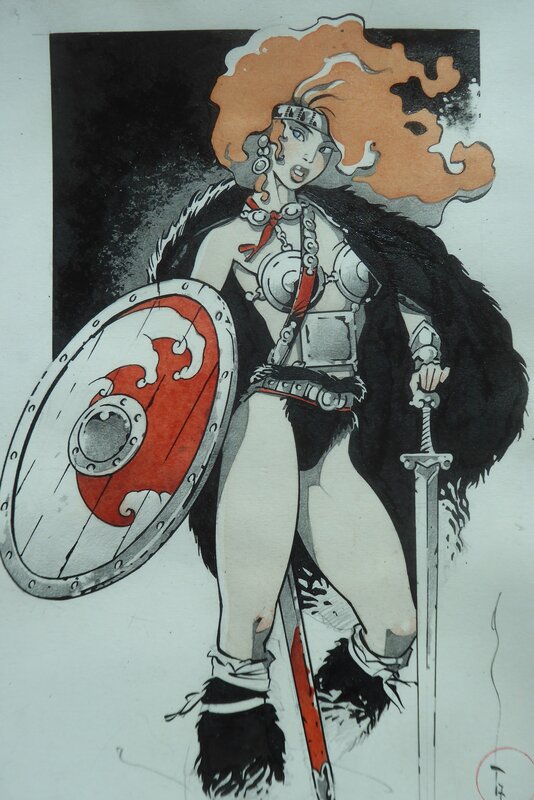 For sale - Femme viking by Michetz - Original Illustration
