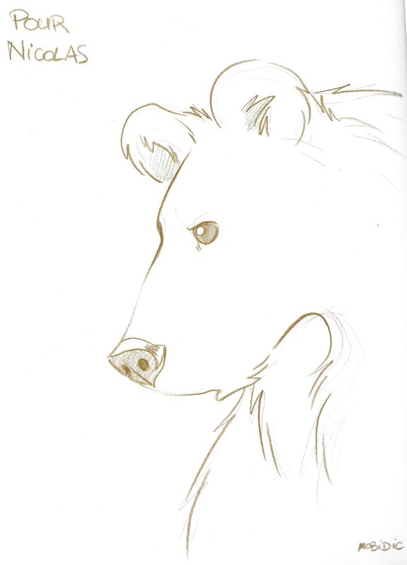 Roi Ours par Mobidic - Dédicace