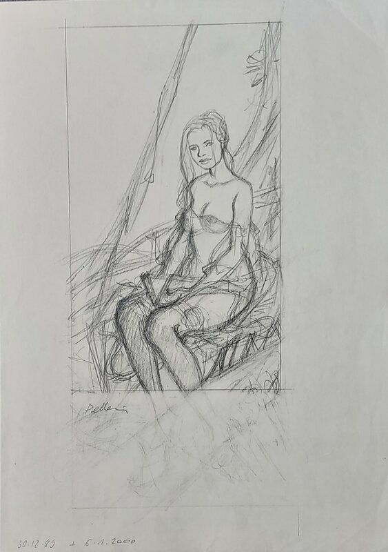 L'épervier Agnès by Patrice Pellerin - Original art