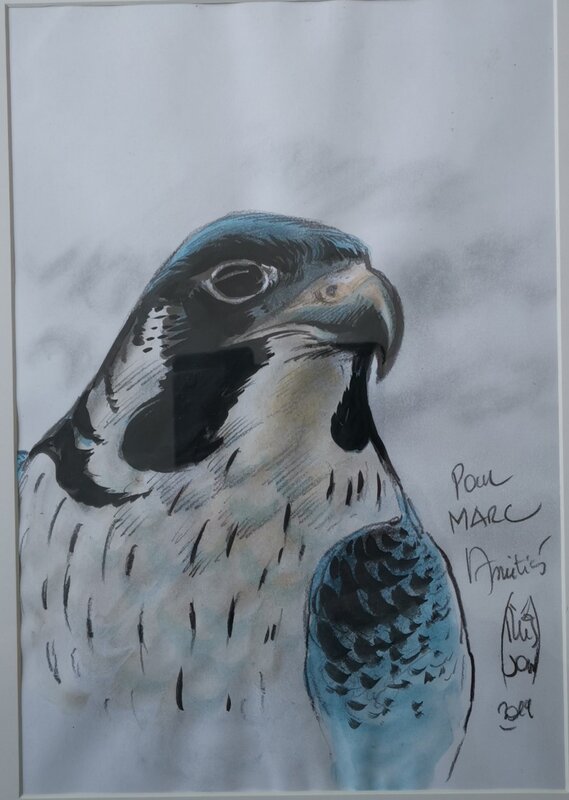 Le faucon de francois plisson - Original Illustration