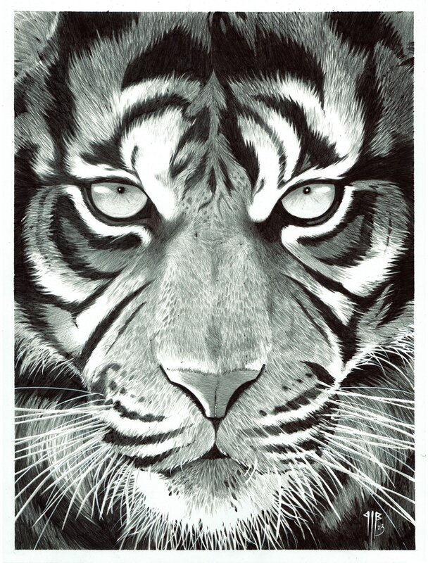 For sale - Tête de Tigre by Bringel philippe - Original Illustration