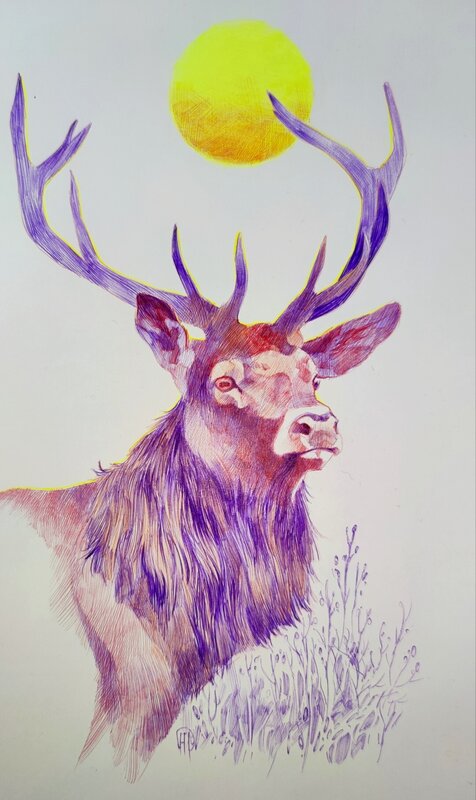 For sale - Deer king by Aurélien Morinière - Original Illustration