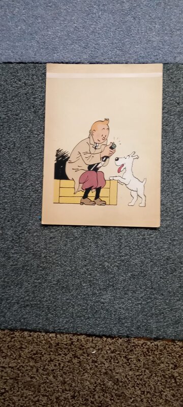 En vente - GEORGES REMI STUDIO HERGE TINTIN STUDIO, Tintin CHAMPAGNE STUDIO HERGE AVEC CELLULO - Œuvre originale