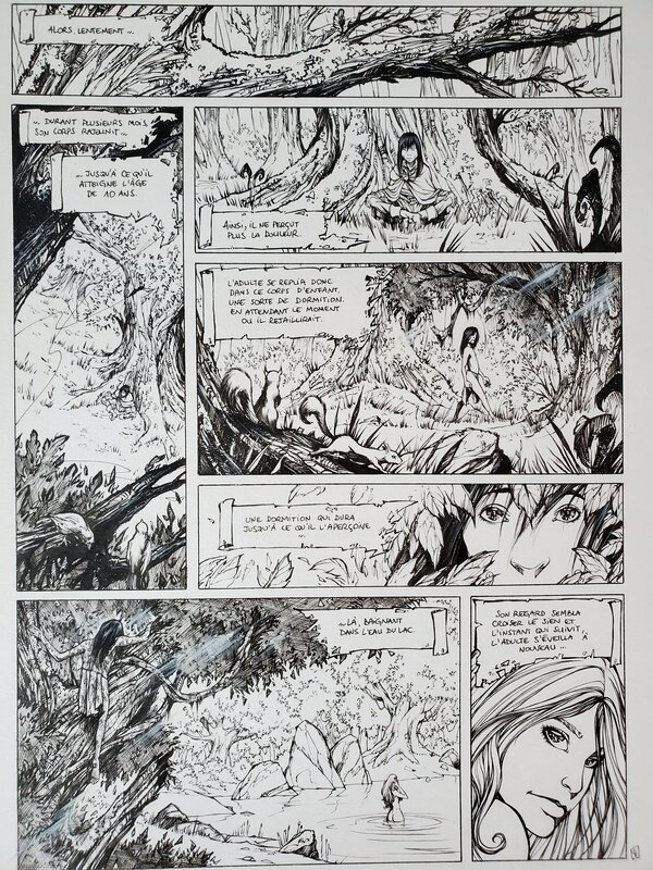 Pierre-Denis Goux, MERLIN-LE PROPHETE  T2 RENAISSANCE - Comic Strip