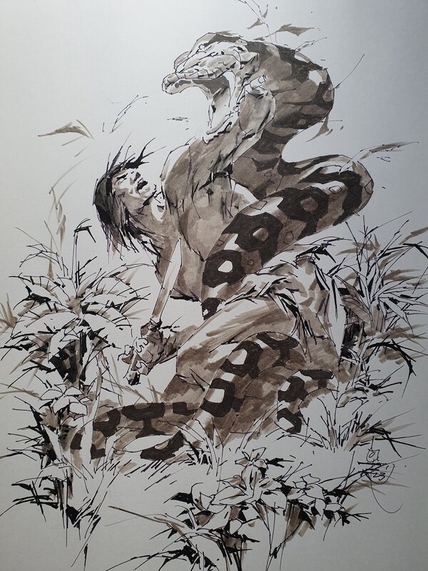 Tarzan Vs Boa by Alex Niño - Original art
