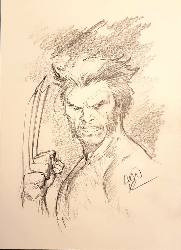 Wolverine par Ivan Reis - Illustration originale