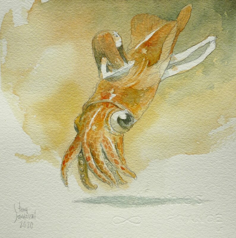 En vente - Tony Sandoval, Octopus II - Publié dans l'Artbook Nature 2023 - Planche originale