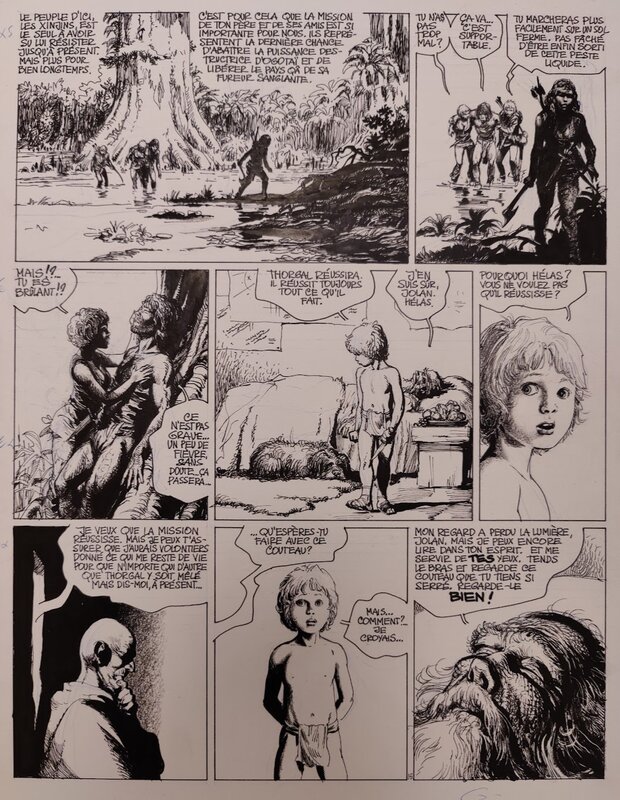 En vente - Rosinski - Thorgal magnifique planche Yeux de Tanatloc planche 15 - Planche originale