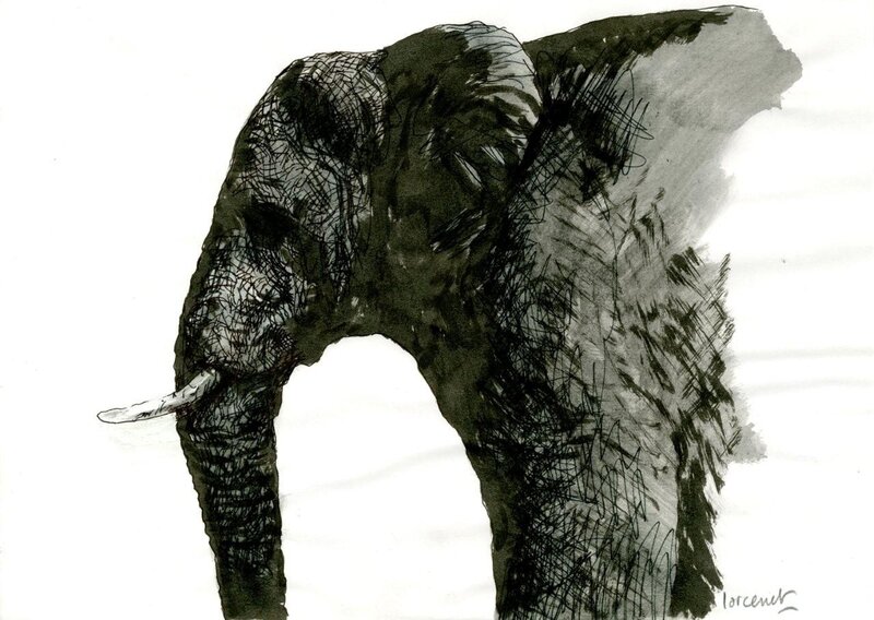 Manu Larcenet, Recherche pour l'éléphant de la couverture du T2 de Blast - Original Illustration