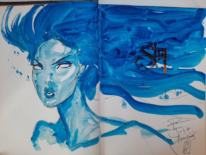 Olivier Ledroit, Sha  édition integrale - Sketch