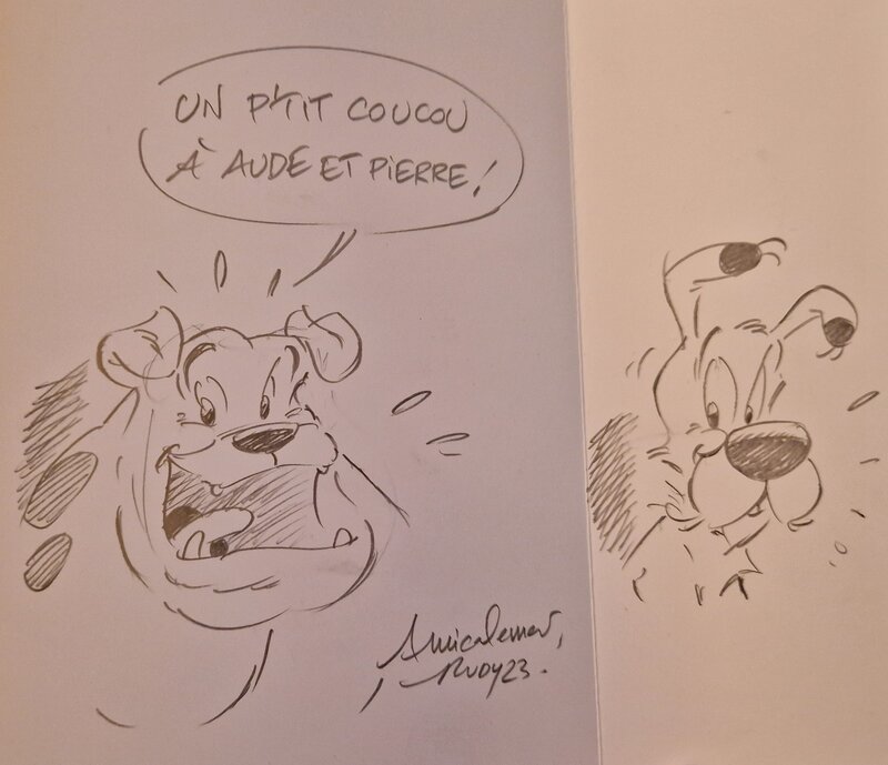 Dédicace de Rudy dans Idéfix et les Irréductibles tome 4 - Sketch