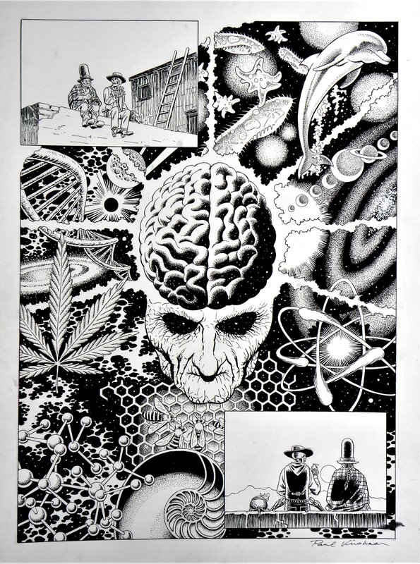 En vente - DOPE RIDER  » Shared Consciousness  » – Planche Originale – Paul kirchner - Planche originale