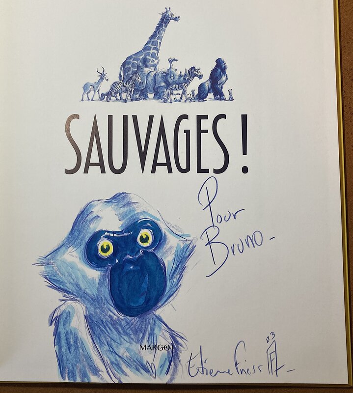 Un gibbon by Etienne Friess - Sketch