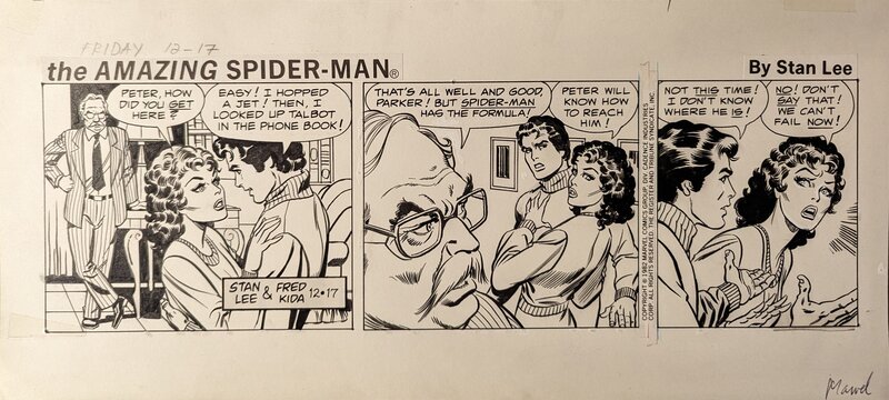 Fred Kida, Stan Lee, The Amazing Spider-Man: Newspaper Comic Strip - 17/12/1982 - Comic Strip