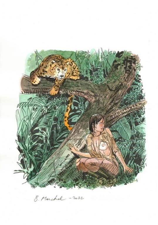 La jungle par Bertrand Marchal - Illustration originale