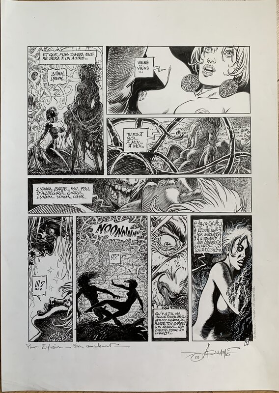 Mohamed Aouamri, Jean Dufaux, Saga Valta 3 - Hildegirrd... - Comic Strip