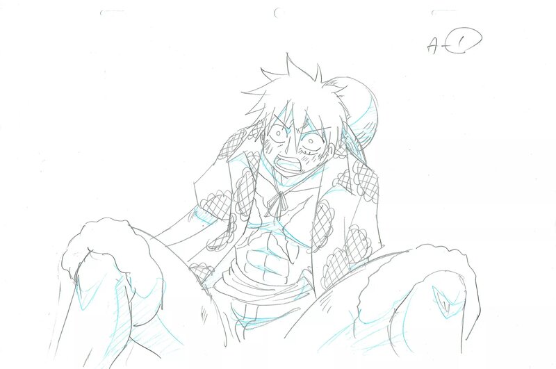 For sale - Eiichiro Oda, Toei Animation, One Piece - Monkey D. Luffy - Original art