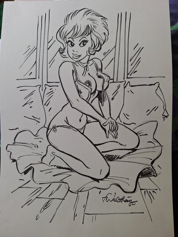 François Walthéry, Natacha sur un coussin - Illustration originale
