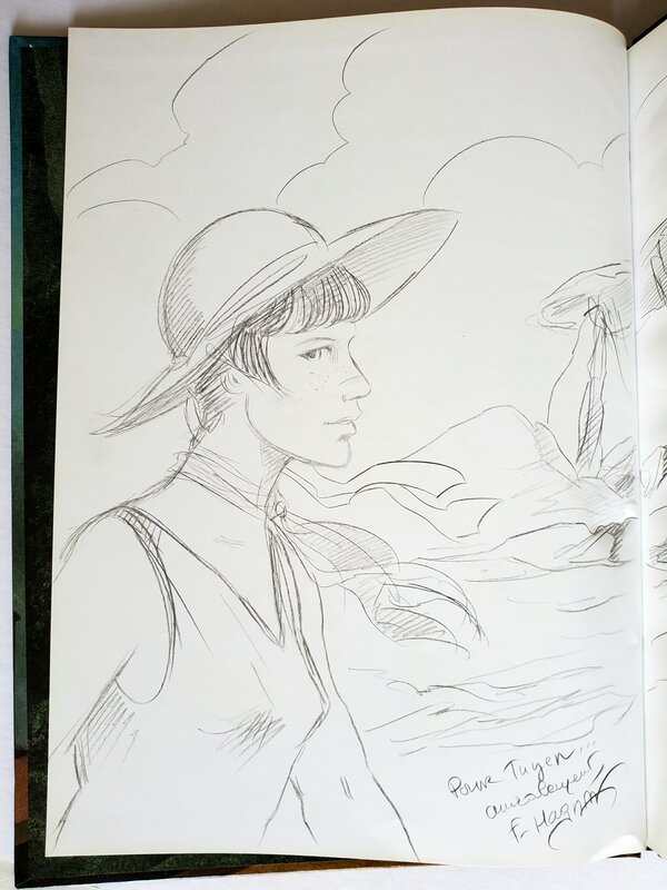 Florence Magnin, L'HERITAGE D'EMILIE  T1 LE DOMAINE HATCLIFF - Sketch