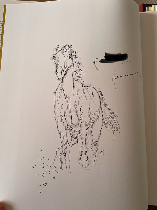 Comanche by Hermann - Sketch