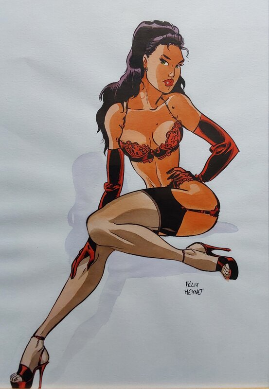 Pin-Up par Félix Meynet - Illustration originale