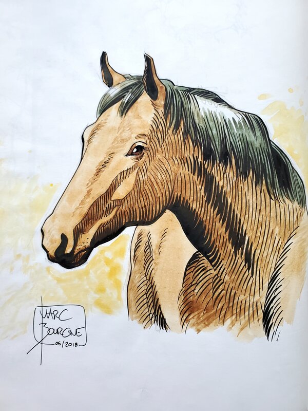Marc Bourgne, ETRE LIBRE  T3 LES VOLEURS DE CHEVAUX - Dédicace