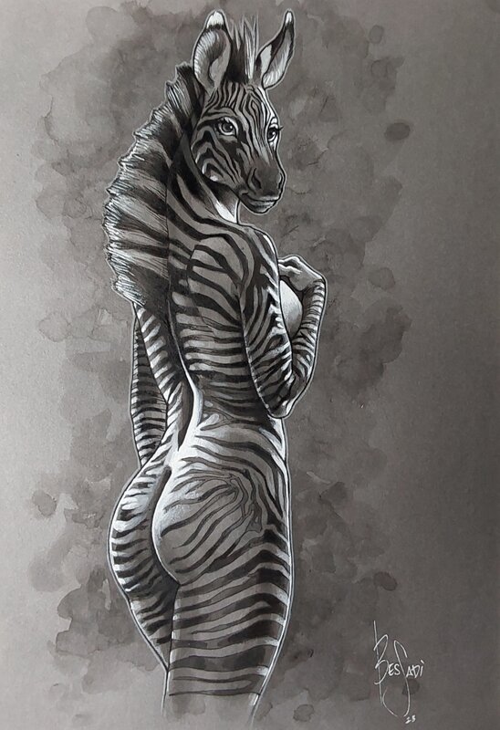 Zèbre de Grévy par Bruno Bessadi - Illustration originale