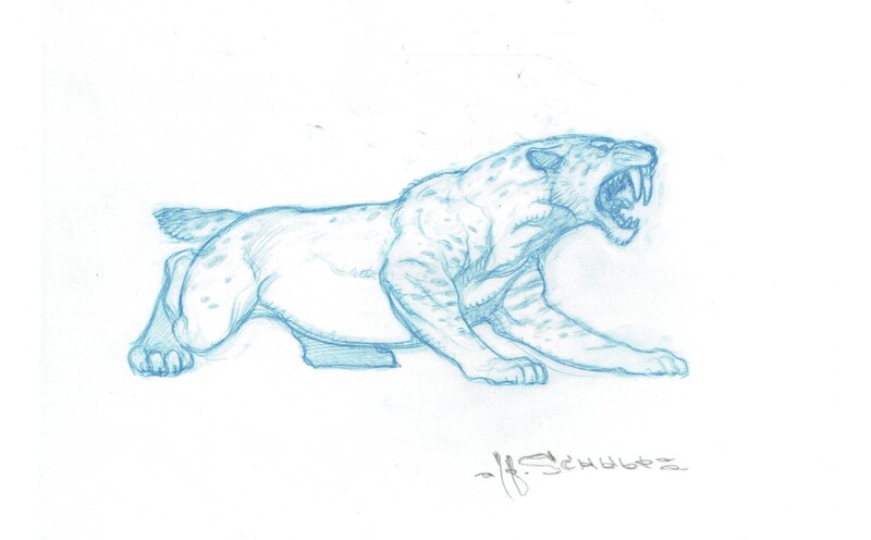 Sabretooth by Mark Schultz - Sketch
