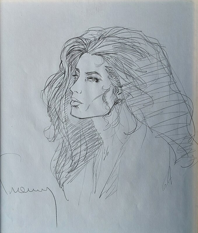 Philippe Francq, Largo Winch : Domenica - Illustration originale