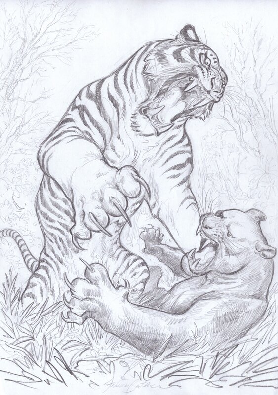 For sale - Federico Bertolucci, Frédéric Brrémaud, Love #1 - Le tigre (couverture) - Original Cover