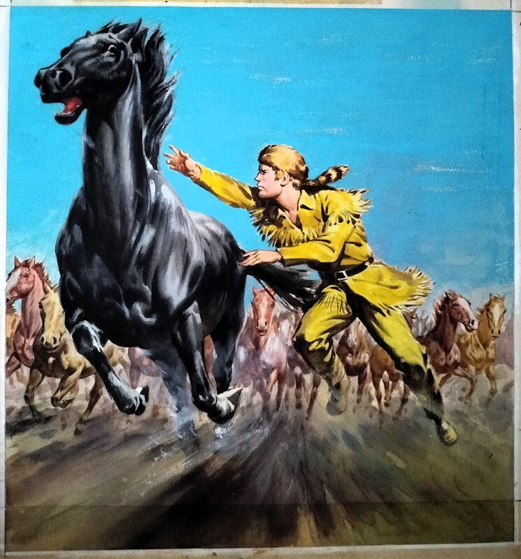 Lasso Heft by - - Original Illustration