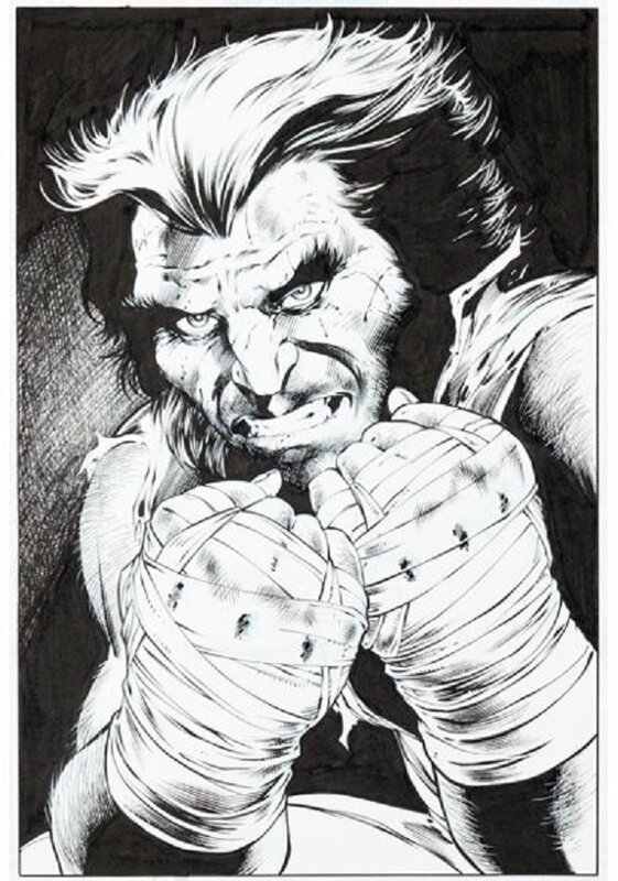 Wolverine 7 cover par Alan Davis - Planche originale