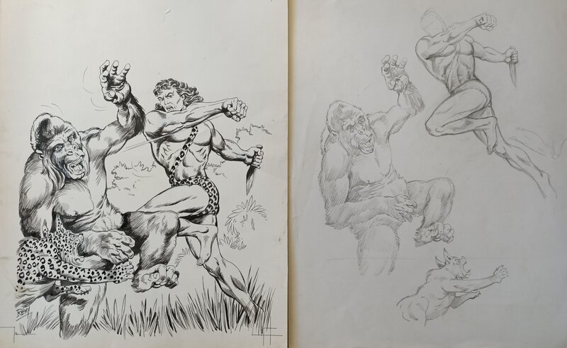 Zembla couverture by Rémy Bordelet - Original Cover